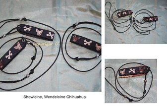Showleine-Wendeleine Chihuahua/ Borte nach Wunsch