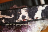Halsband Border Collies 35-43cm
