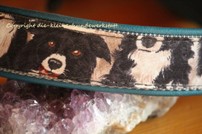 Halsband Border Collies petrol 36-46cm