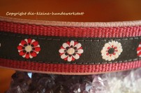 Halsband daisys hell-weinrot, 46-60cm