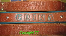 Lederhalsband mit Namen und Telefonnummer