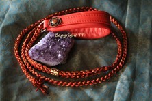 Show- oder Arbeitsleine Orangetöne